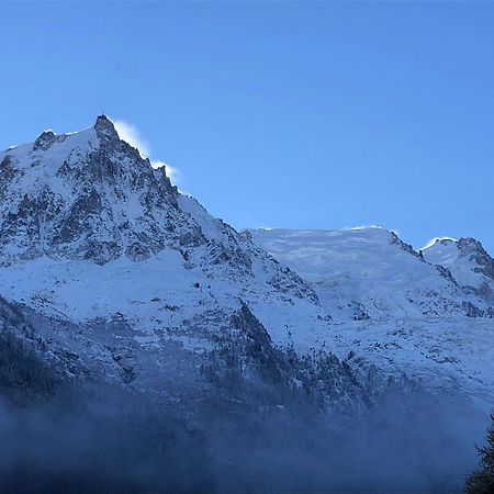 Les Alpins - Centre De Chamonix - Renove Avec Jardin Et Vue Imprenable Sur Le Montblanc Apartment Bagian luar foto