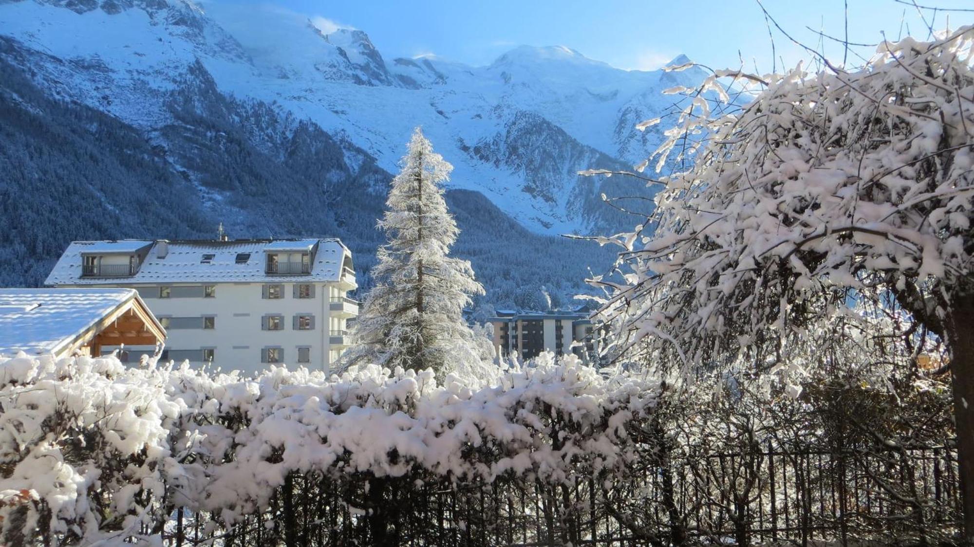 Les Alpins - Centre De Chamonix - Renove Avec Jardin Et Vue Imprenable Sur Le Montblanc Apartment Bagian luar foto