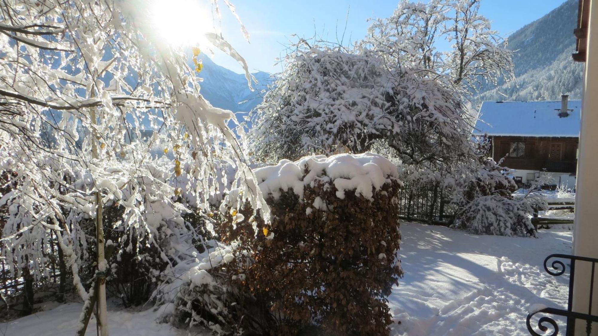 Les Alpins - Centre De Chamonix - Renove Avec Jardin Et Vue Imprenable Sur Le Montblanc Apartment Bagian luar foto